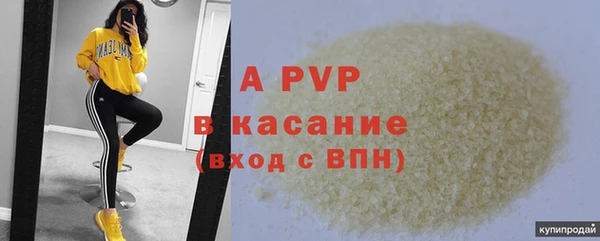 кокс Арсеньев