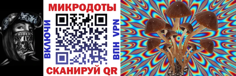 цена   МЕГА рабочий сайт  Галлюциногенные грибы прущие грибы  Красный Кут 